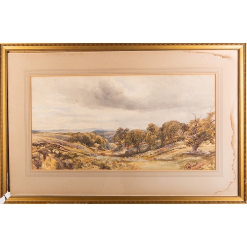 653 - Henry Clark Pidgeon (British, 1807-1880) - Albury Hills - Watercolour - 27 x 51cm - 44 x 68cm framed... 