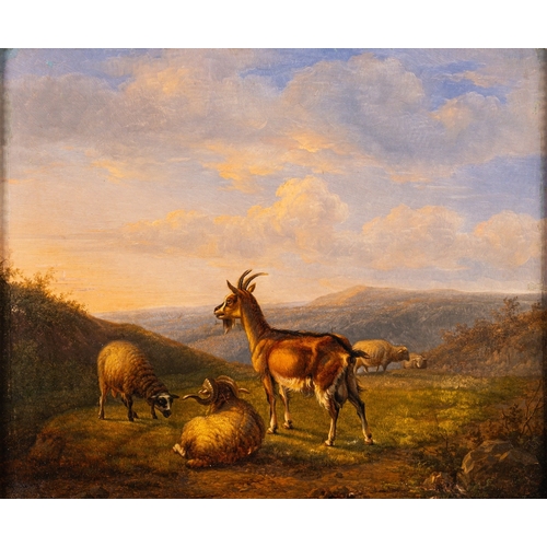 662 - Eugene Vermeulen (Dutch, 19th Century) - Goats in a Landscape - Oil on panel - 26 x 31,5cm - Signed ... 