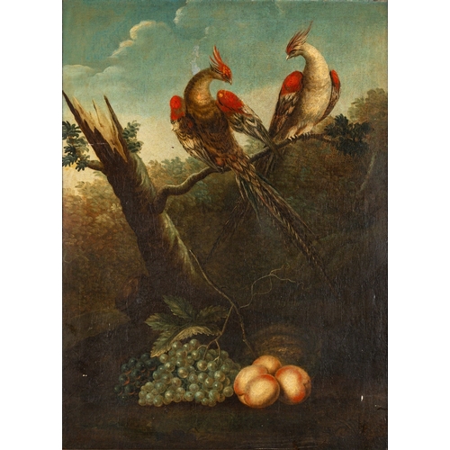 663 - Continental School, 18th Century - Exotic birds on a branch of a tree with a still life of peaches a... 