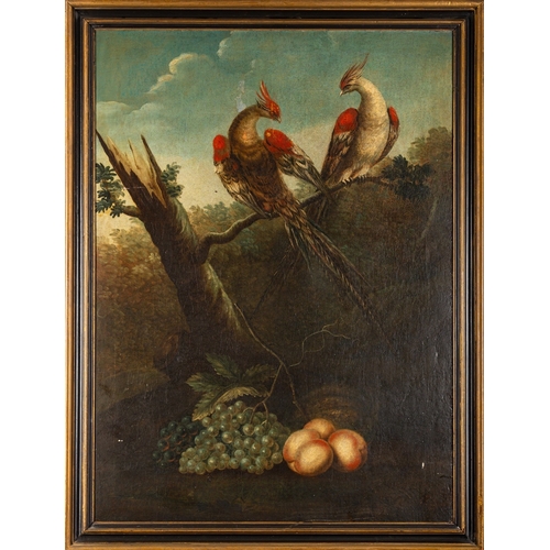 663 - Continental School, 18th Century - Exotic birds on a branch of a tree with a still life of peaches a... 