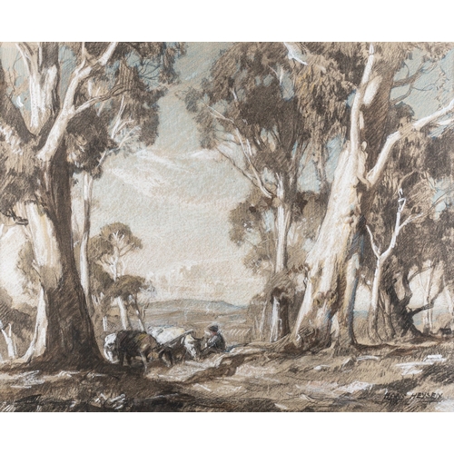 671 - Hans Heysen (Australian,1877-1968) - Gum Trees - Charcoal, coloured chalks and pencil - 32 x 40cm - ... 