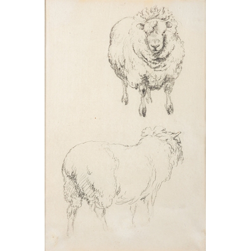 682 - Robert Hills (British, 1769-1844) - Studies of Sheep -  Pencil - 22 x14.5cm - Provenance; Mrs Lavini... 