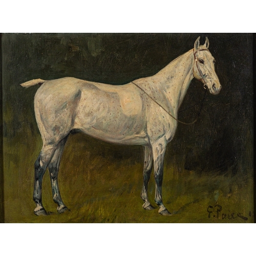 705 - George Paice (British, 1854-1925) - Study of a dapple horse - Oil on canvas - 22 x 29.5cm - 38 x 46.... 