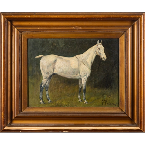 705 - George Paice (British, 1854-1925) - Study of a dapple horse - Oil on canvas - 22 x 29.5cm - 38 x 46.... 