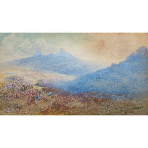 724 - Frederick John Widgery (British,1861-1942) - Dartmoor - Gouache - 27.5 x 44cm - Signed lower left - ... 