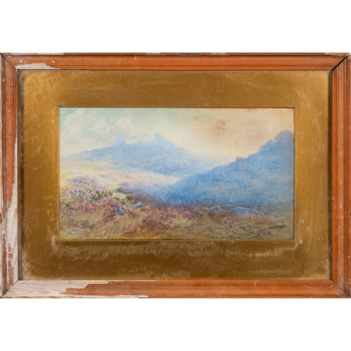 724 - Frederick John Widgery (British,1861-1942) - Dartmoor - Gouache - 27.5 x 44cm - Signed lower left - ... 