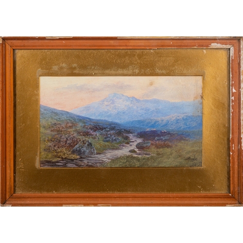 724 - Frederick John Widgery (British,1861-1942) - Dartmoor - Gouache - 27.5 x 44cm - Signed lower left - ... 