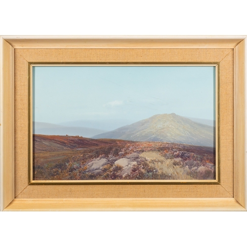 724 - Frederick John Widgery (British,1861-1942) - Dartmoor - Gouache - 27.5 x 44cm - Signed lower left - ... 