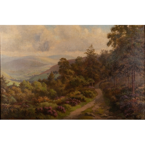 727 - R. H. Bailey (British, 20th Century) - A track on the woodland edge with moorland beyond - Oil on ca... 