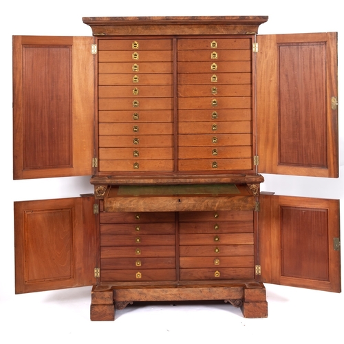 919 - A fine Regency mahogany and ormolu mounted collector's cabinet, circa 1815; with moulded cornice abo... 