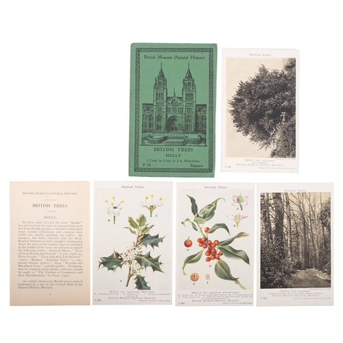 574 - British Natural History Museum. Nineteen sets of four postcards, various subjects including ' Britis... 