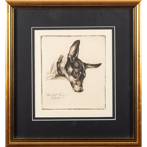 597 - Richard Müller (German, 1874-1954) - Mein Hund Boy -  Etching -  16 x 14cm - 31.5 x 29.5cm framed - ... 