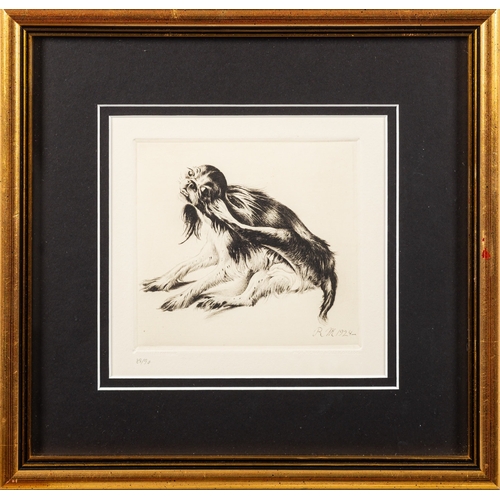 598 - Richard Müller (German, 1874-1954) - Portrait of a spaniel -  Etching -  12 x 13cm - 28 x 29cm frame... 