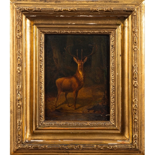 710 - German School, 19th Century -  Stag in a woodland clearing - Oil on panel - 20 x 15.5cm - 36 x 31.5c... 