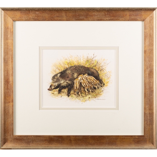 733 - Carl Brenders (Belgian/ American, b. 1937) - Wild boar with young - Gouache - 11 x 14cm - Signed low... 