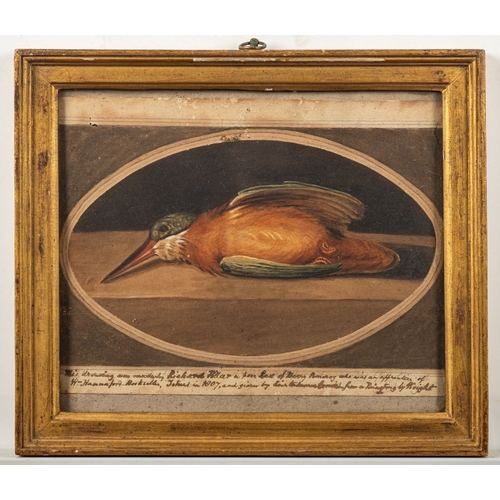 735 - British School, early 19th Century - Studies of dead robin and kingfisher - Pair of watercolours wit... 