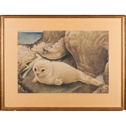 780 - *Phyllis Mary 'Billie' Waters (British, 1896-1979) - Seal Pup - Watercolour and pastel - 27 x 40cm -... 