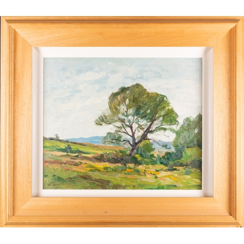 803 - Marin Genoud (French, 1893-1966) - Sunlit landscape - Oil on board - 44.5 x 53.5cm - 70 x 80cm frame... 