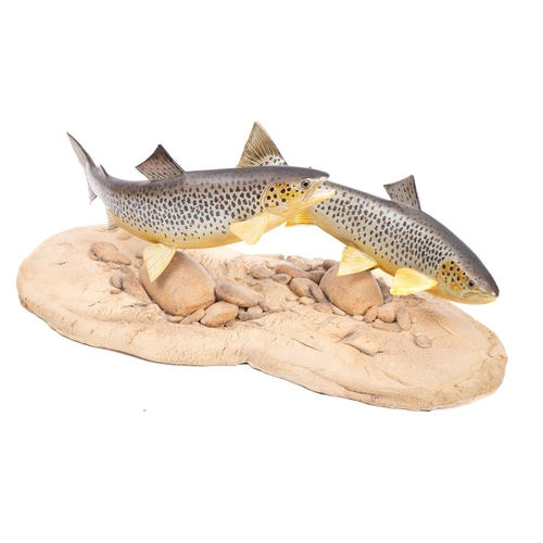 3 - A ceramic fish sculpture by Ian J Greensitt, showing a pair of hand painted Brown Trout set on a scu... 