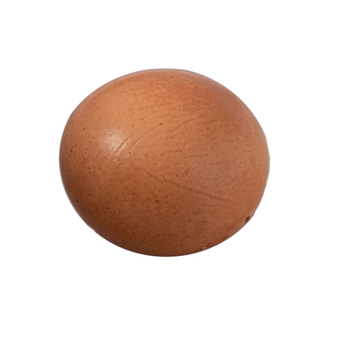 64 - To be sold on behalf of charity -  A rare and unusual 'spherical' chicken egg,  laid December 2024. ... 