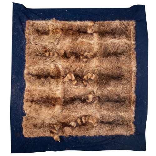 66 - An early 20th century racoon skin rug, on a blue felt  ground,  maker's label to reverse ( indistinc... 