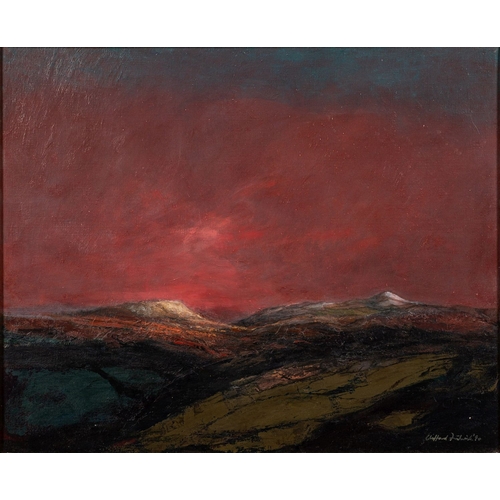 Distant Snows: A Mountaineer's Odyssey