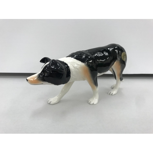 31 - John Beswick Boxed model of a Border Collie, 7