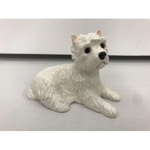 33 - John Beswick boxed model of a Westie Dog