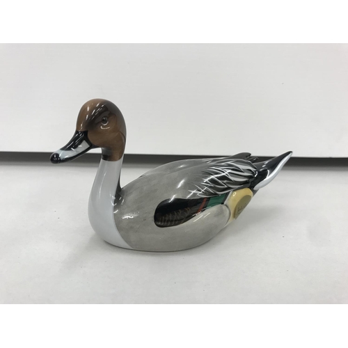 35 - John Beswick boxed model of a Pintail Duck, 5