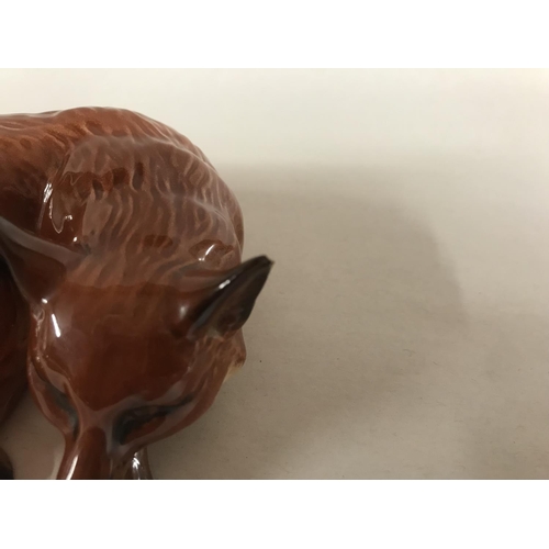 125 - Beswick Curled Fox, model 1017 - small nibble to ear