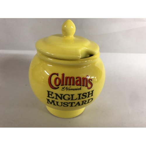 230 - Wade Colman's Mustard Pot