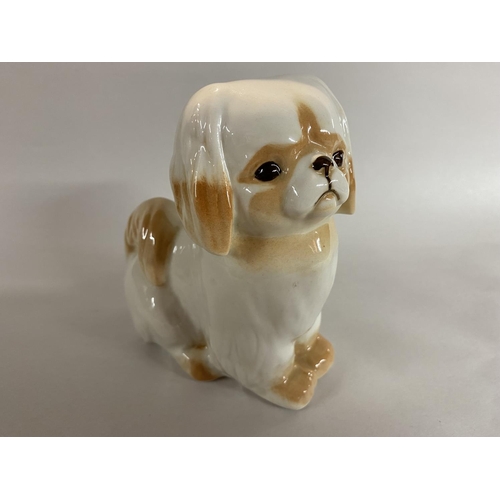 136 - USSR Lomonosov Pekingese Dog