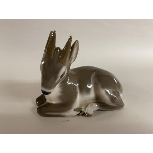 225 - Royal Copenhagen model of a Fawn, model 2648, 5