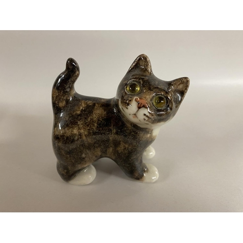 42 - Winstanley Cat, size 1