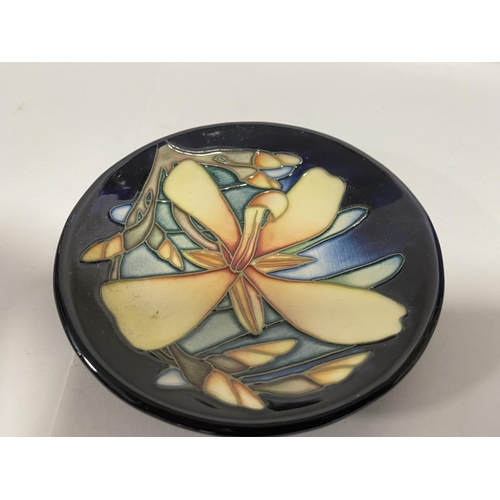 122 - Moorcroft 12cm Pin Dish - Panache design - Collectors Club Issue