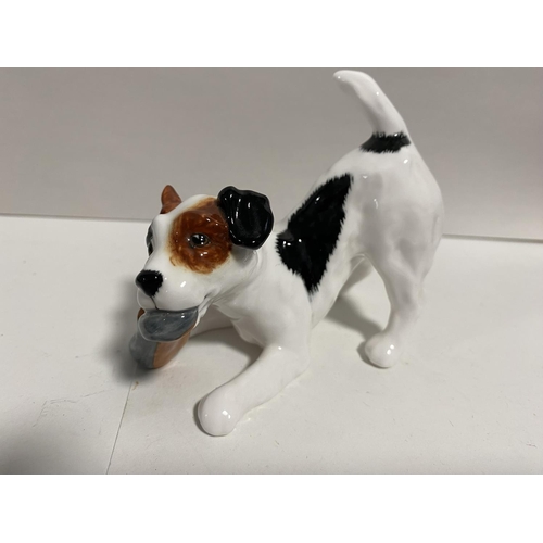 46 - Royal Doulton Terrier Dog with Slipper HN2654