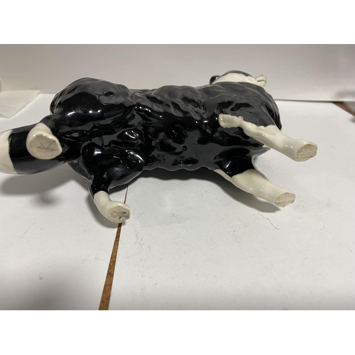 72 - Beswick Model of a Border Collie, Large Size