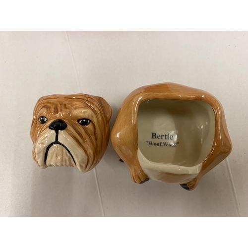 127 - Kevin Francis boxed Face Pot - Bertie Bulldog