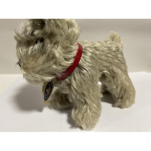 120 - Vintage Steiff c1954 'Tessie' Schnauzer with Button in Ear