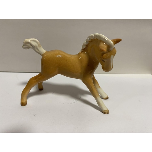 204 - Beswick model of a Palomino Foal