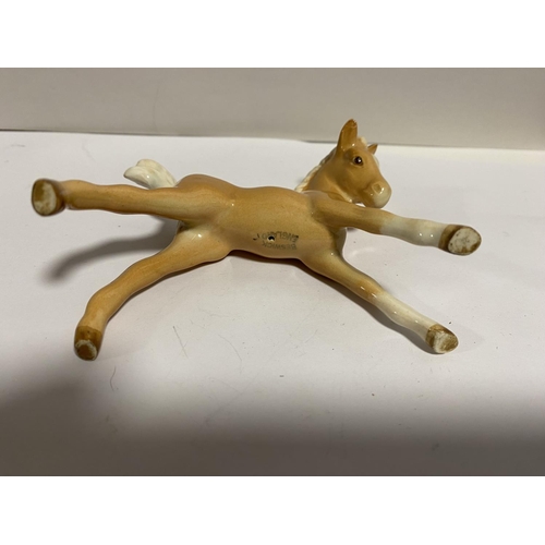 204 - Beswick model of a Palomino Foal