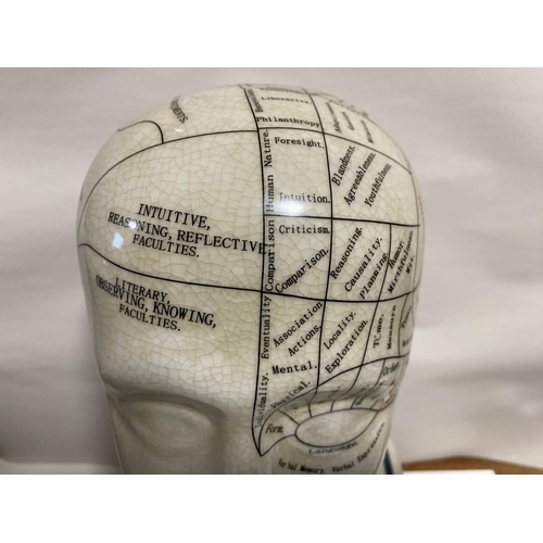 10 - Phrenology Head, 12