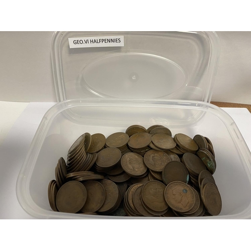 27 - Container of a Large Quantity of George V1 Halfpennies