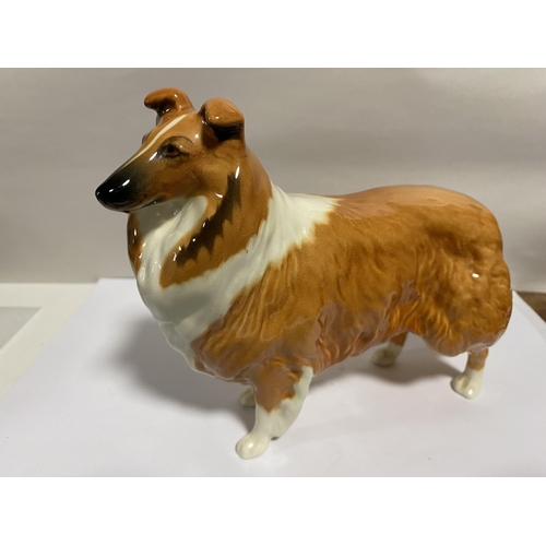 157 - Beswick Large Rough Collie - Lochinvar of Ladypark