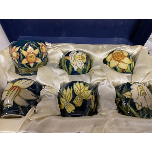 251 - Moorcroft Boxed set of 6 'Daffodil' Pattern Egg Cups, 2