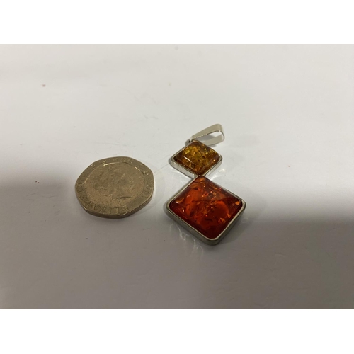 249 - Sterling Silver Pressed Amber Pendant