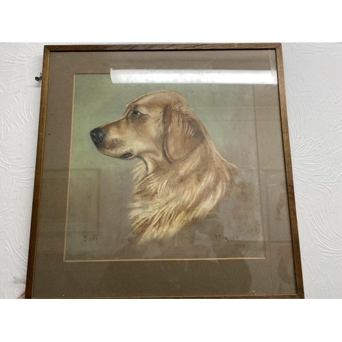 59 - Golden Retriever Portrait by Listed Artist Edward Prosser, 16