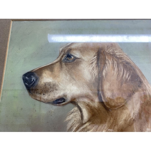 59 - Golden Retriever Portrait by Listed Artist Edward Prosser, 16