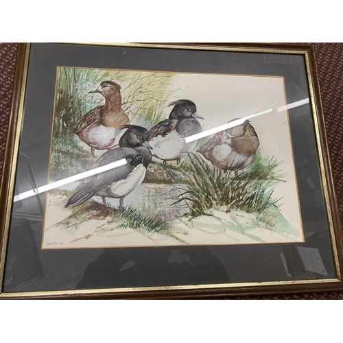 60 - Rare Frank Jarvis (Bird Illustrator) Picture - Ducks