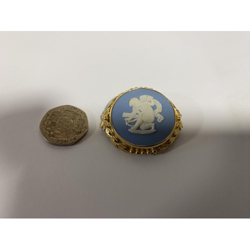 41 - Wedgwood Blue Jasper Brooch